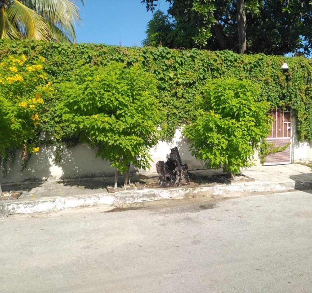 Bonita Casa A Dos Cuadras Del Mar Villa Playa del Carmen Ngoại thất bức ảnh